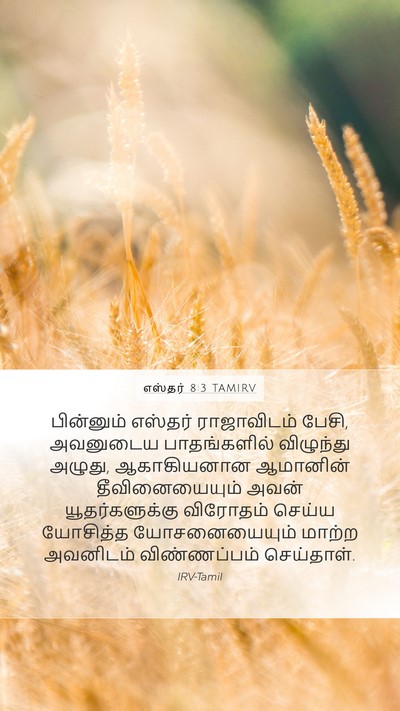 எஸ்தர் 8:3 TAMIRV Mobile Phone Wallpaper - பின்னும் எஸ்தர் - Mobile Bible Verse Wallpaper