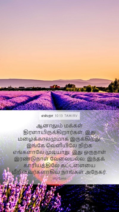 எஸ்றா 10:13 TAMIRV Bible Verse Image