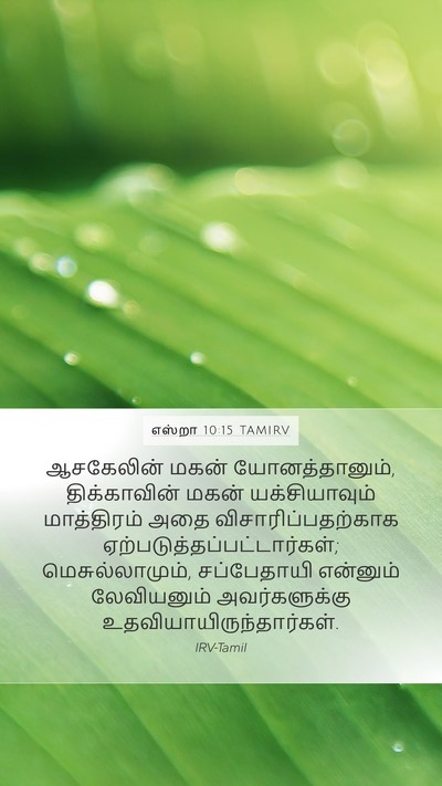 எஸ்றா 10:15 TAMIRV Mobile Phone Wallpaper - ஆசகேலின் மகன் - Mobile Bible Verse Wallpaper
