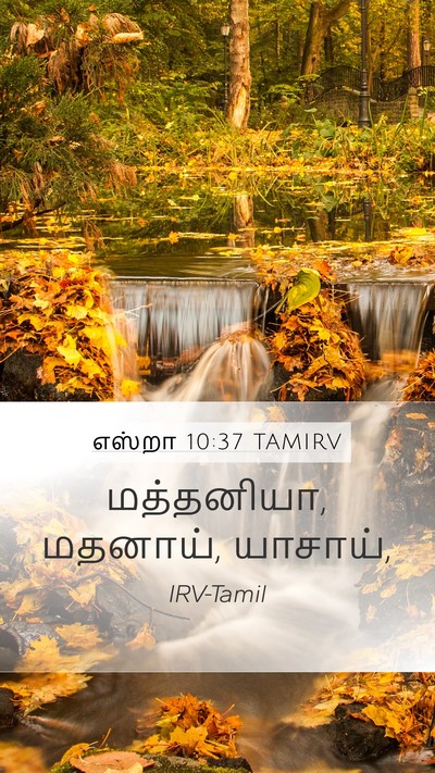 எஸ்றா 10:37 TAMIRV Mobile Phone Wallpaper - மத்தனியா, மதனாய், - Mobile Bible Verse Wallpaper