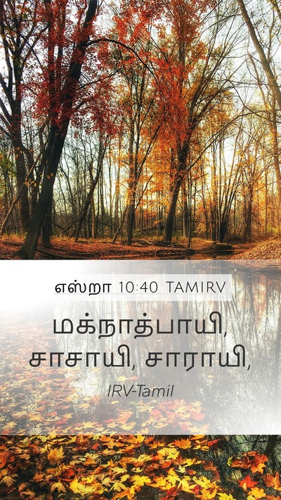 எஸ்றா 10:40 TAMIRV Mobile Phone Wallpaper - மக்நாத்பாயி, - Mobile Bible Verse Wallpaper