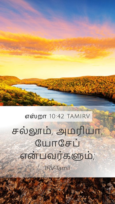 எஸ்றா 10:42 TAMIRV Mobile Phone Wallpaper - சல்லூம், அமரியா, - Mobile Bible Verse Wallpaper