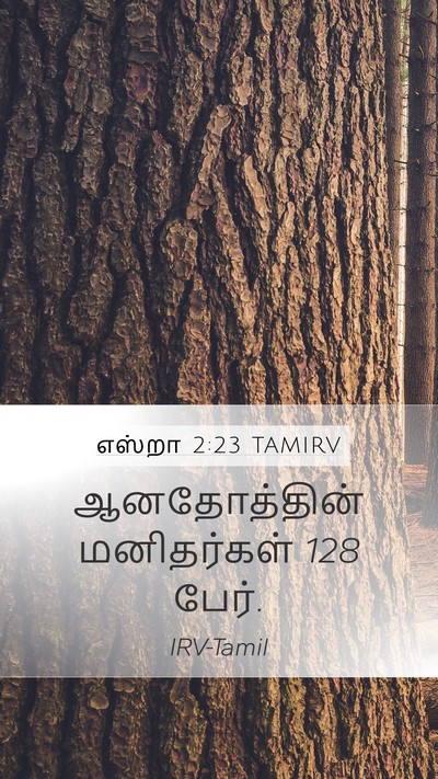 எஸ்றா 2:23 TAMIRV Bible Verse Image