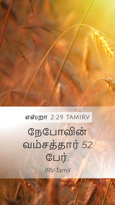 எஸ்றா 2:29 TAMIRV Mobile Phone Wallpaper - நேபோவின் - Mobile Bible Verse Wallpaper