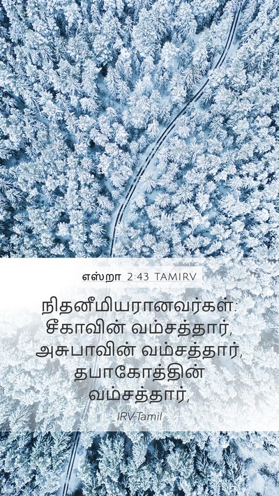 எஸ்றா 2:43 TAMIRV Mobile Phone Wallpaper -  - Mobile Bible Verse Wallpaper