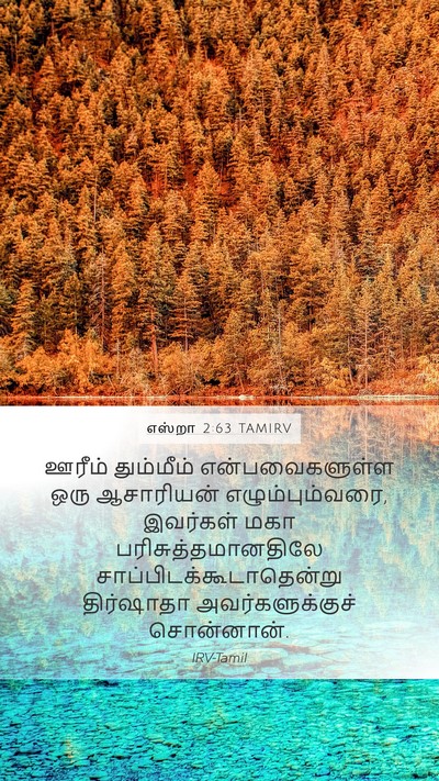 எஸ்றா 2:63 TAMIRV Bible Verse Image