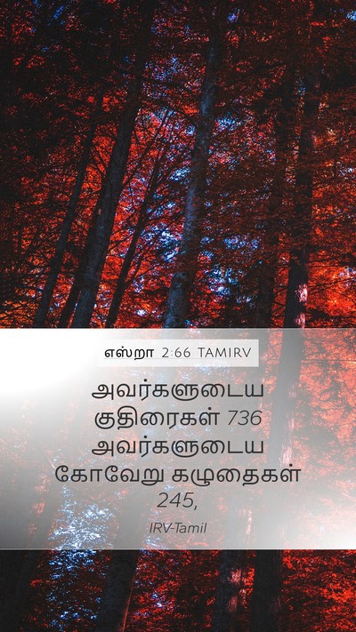 எஸ்றா 2:66 TAMIRV Bible Verse Image