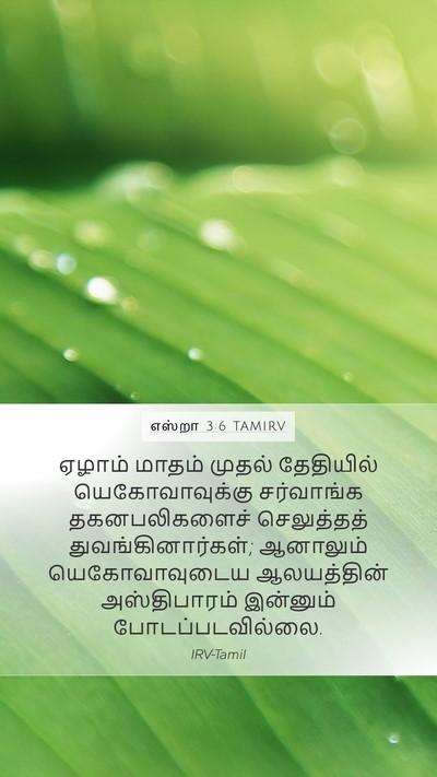 எஸ்றா 3:6 TAMIRV Bible Verse Image