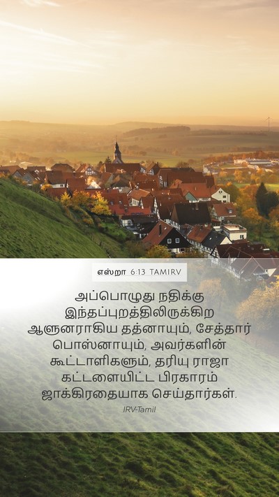 எஸ்றா 6:13 TAMIRV Mobile Phone Wallpaper - அப்பொழுது நதிக்கு - Mobile Bible Verse Wallpaper