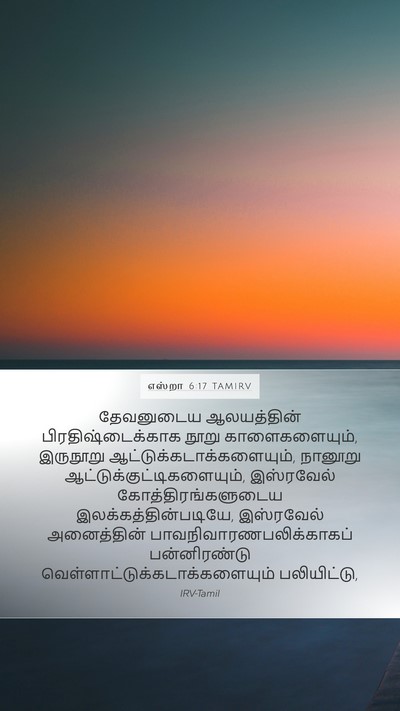 எஸ்றா 6:17 TAMIRV Bible Verse Image