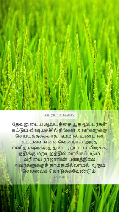 எஸ்றா 6:8 TAMIRV Bible Verse Image