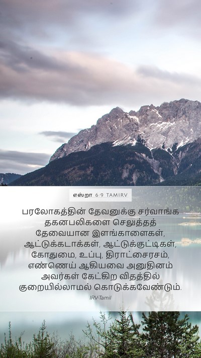 எஸ்றா 6:9 TAMIRV Bible Verse Image