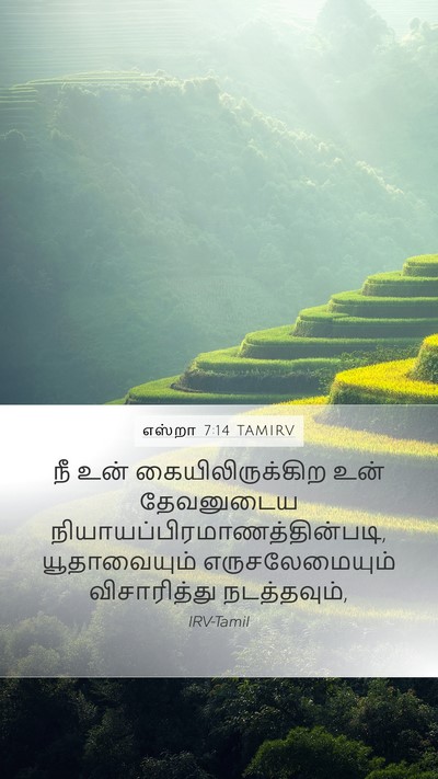 எஸ்றா 7:14 TAMIRV Bible Verse Image