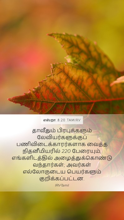 எஸ்றா 8:20 TAMIRV Bible Verse Image