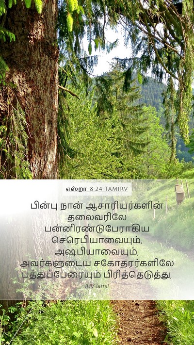 எஸ்றா 8:24 TAMIRV Bible Verse Image