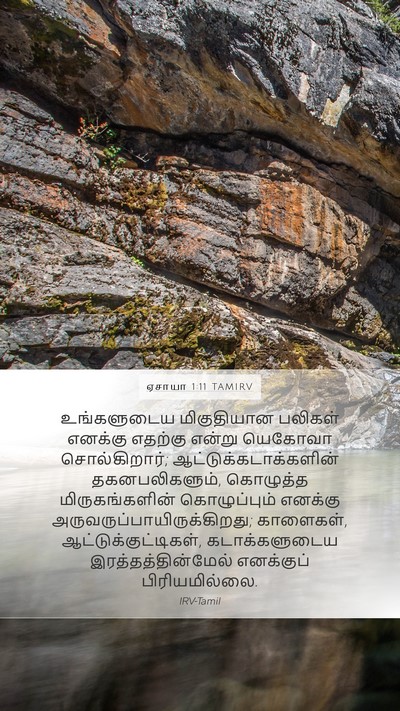 ஏசாயா 1:11 TAMIRV Bible Verse Image