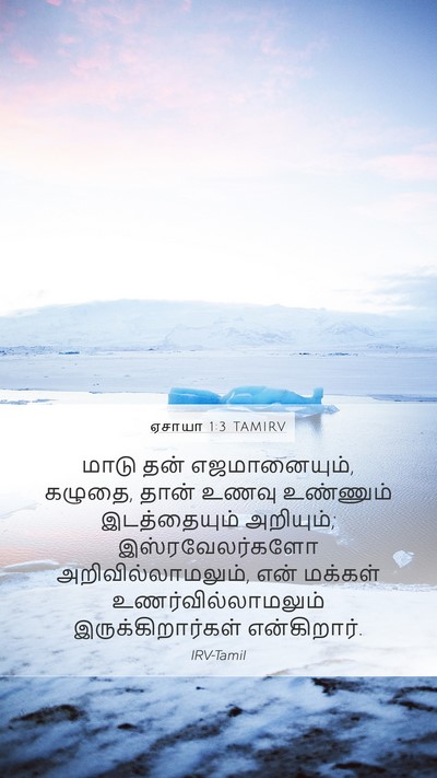 ஏசாயா 1:3 TAMIRV Bible Verse Image