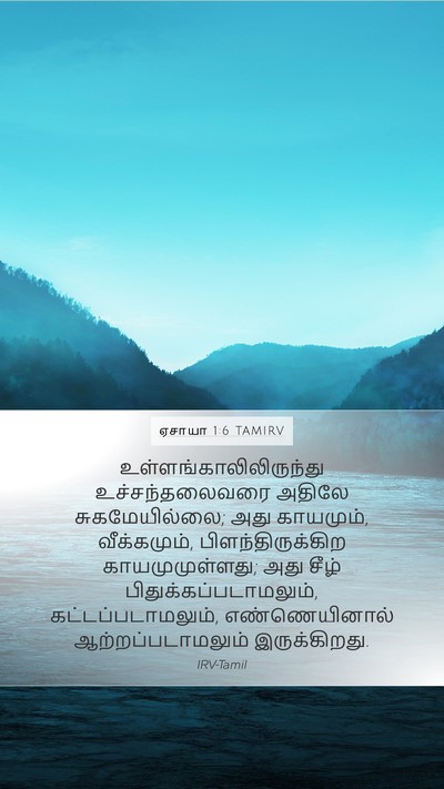 ஏசாயா 1:6 TAMIRV Bible Verse Image