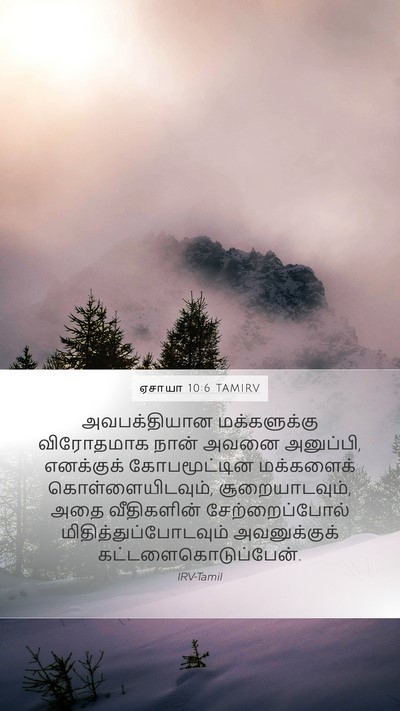 ஏசாயா 10:6 TAMIRV Bible Verse Image