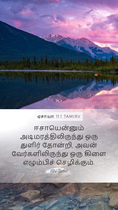 ஏசாயா 11:1 TAMIRV Bible Verse Image