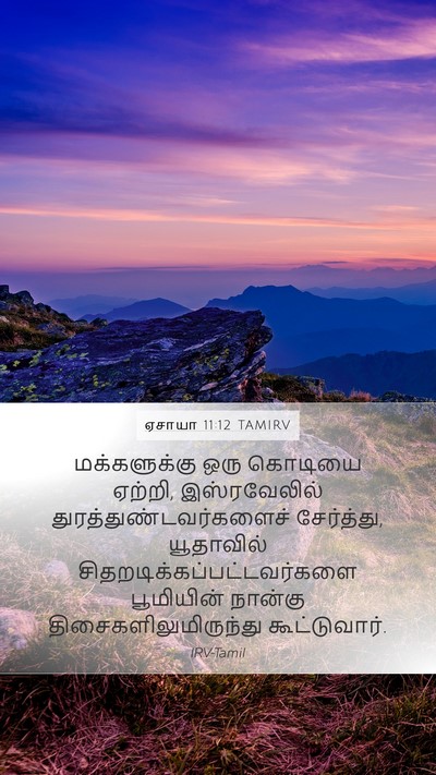ஏசாயா 11:12 TAMIRV Bible Verse Image