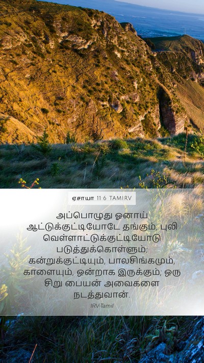 ஏசாயா 11:6 TAMIRV Bible Verse Image