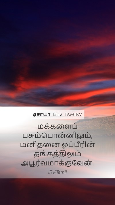 ஏசாயா 13:12 TAMIRV Bible Verse Image