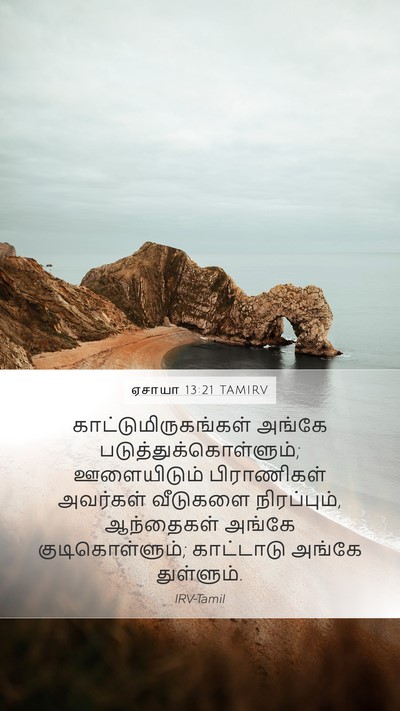 ஏசாயா 13:21 TAMIRV Bible Verse Image