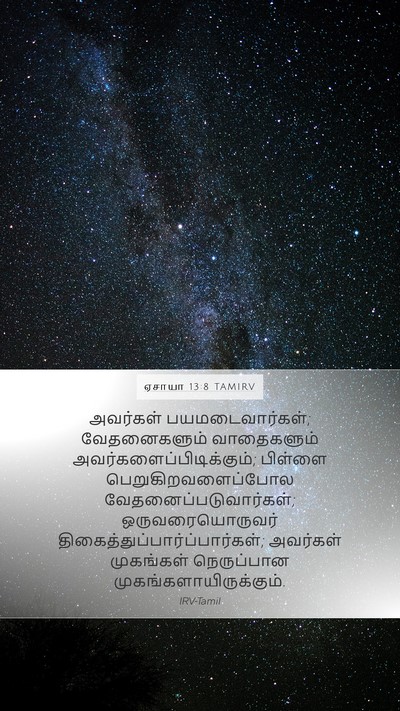 ஏசாயா 13:8 TAMIRV Bible Verse Image