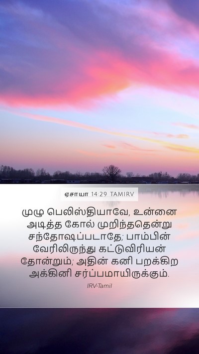 ஏசாயா 14:29 TAMIRV Bible Verse Image