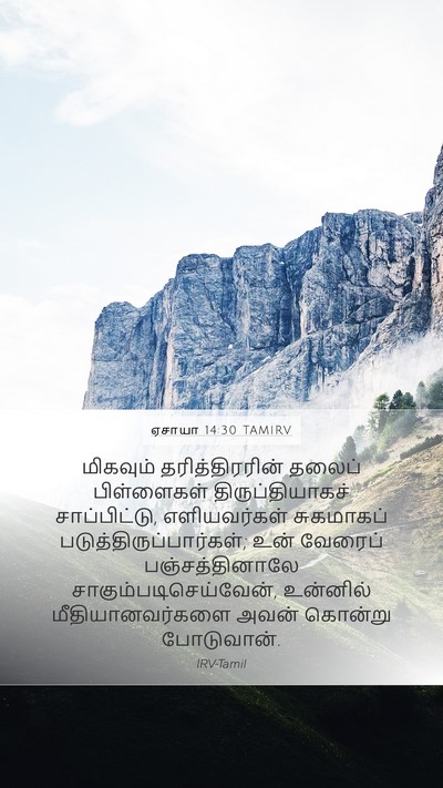 ஏசாயா 14:30 TAMIRV Mobile Phone Wallpaper - மிகவும் - Mobile Bible Verse Wallpaper