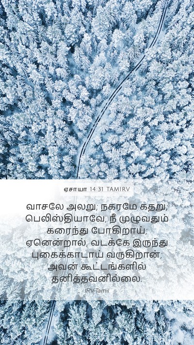 ஏசாயா 14:31 TAMIRV Bible Verse Image