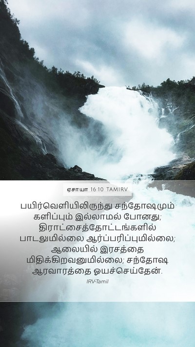 ஏசாயா 16:10 TAMIRV Bible Verse Image