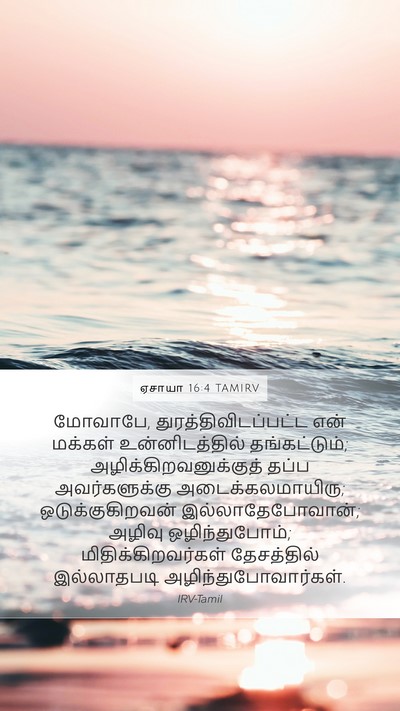 ஏசாயா 16:4 TAMIRV Bible Verse Image