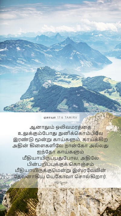 ஏசாயா 17:6 TAMIRV Bible Verse Image