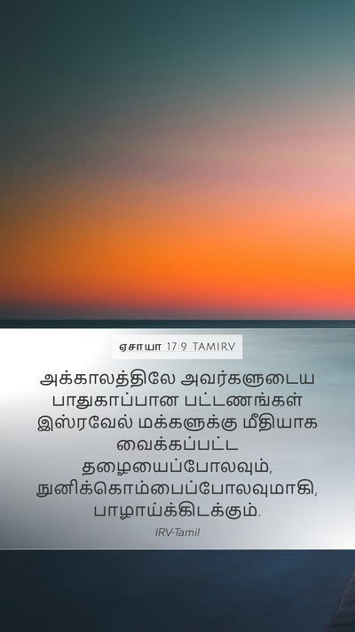 ஏசாயா 17:9 TAMIRV Bible Verse Image