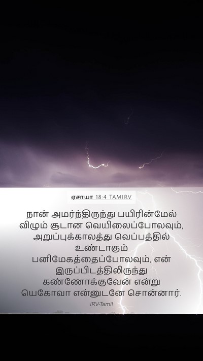ஏசாயா 18:4 TAMIRV Bible Verse Image