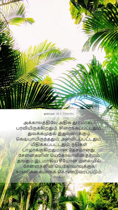 ஏசாயா 18:7 TAMIRV Bible Verse Image