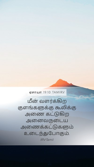 ஏசாயா 19:10 TAMIRV Mobile Phone Wallpaper - மீன் வளர்க்கிற - Mobile Bible Verse Wallpaper