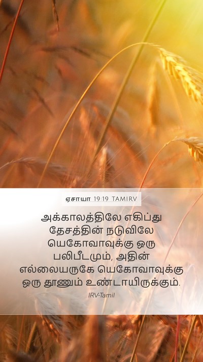 ஏசாயா 19:19 TAMIRV Bible Verse Image
