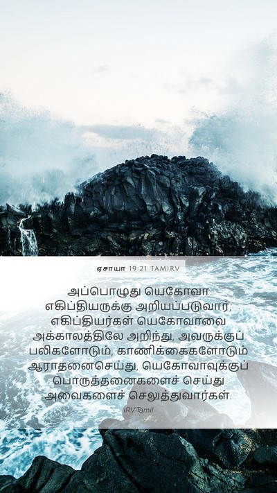 ஏசாயா 19:21 TAMIRV Bible Verse Image