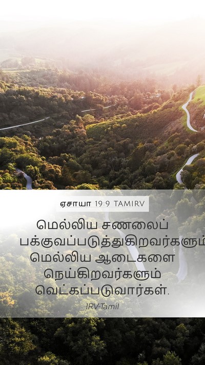 ஏசாயா 19:9 TAMIRV Bible Verse Image