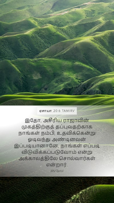 ஏசாயா 20:6 TAMIRV Mobile Phone Wallpaper - இதோ, அசீரிய - Mobile Bible Verse Wallpaper