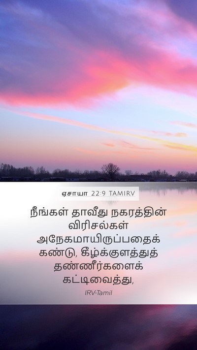 ஏசாயா 22:9 TAMIRV Bible Verse Image