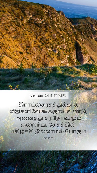 ஏசாயா 24:11 TAMIRV Bible Verse Image