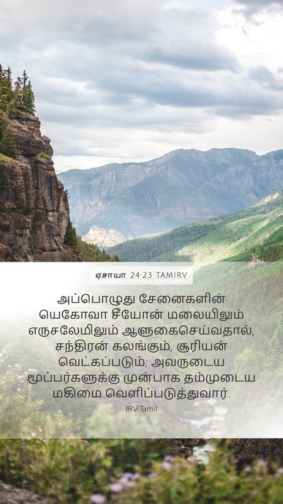 ஏசாயா 24:23 TAMIRV Bible Verse Image