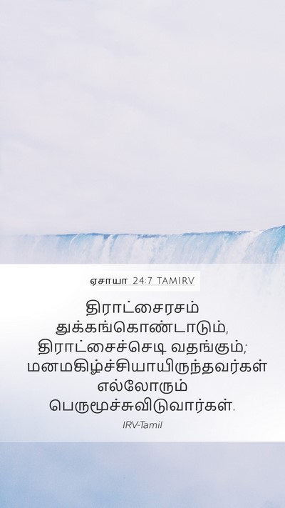 ஏசாயா 24:7 TAMIRV Bible Verse Image