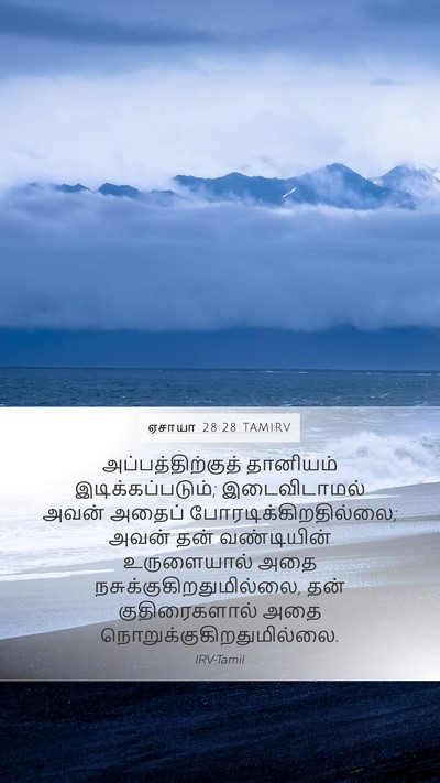 ஏசாயா 28:28 TAMIRV Mobile Phone Wallpaper - அப்பத்திற்குத் - Mobile Bible Verse Wallpaper
