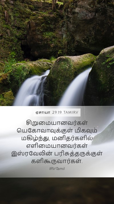 ஏசாயா 29:19 TAMIRV Bible Verse Image