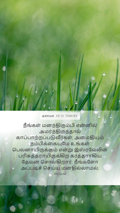 ஏசாயா 30:15 TAMIRV Bible Verse Image